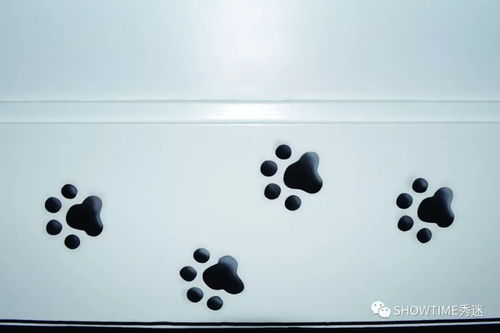 从宠物店购买宠物狗 明智选择还是潜在陷阱？