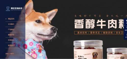 高密博*生物科技宠物食品销售网站建设全流程解析