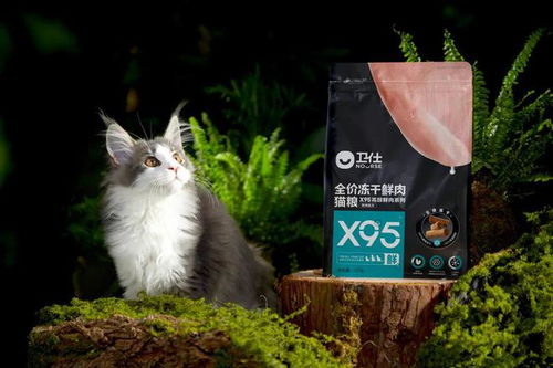 20亿押注宠物健康 卫仕总裁谈食品赛道新逻辑